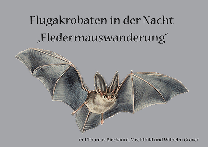 fledermaus